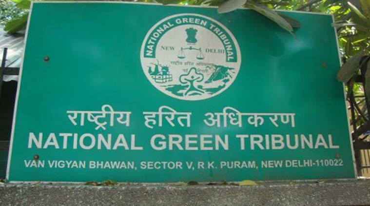 No odd-even till its efficacy proven: NGT