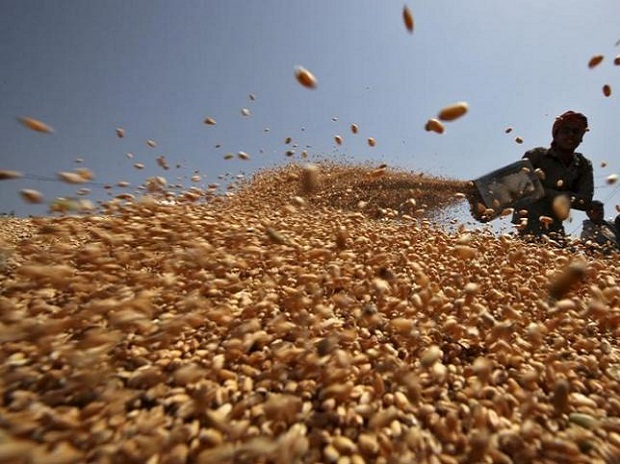 Government hikes minimum support price of wheat and pulses