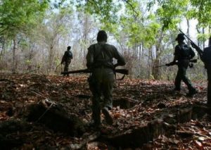 Maoists set vehicles ablaze in Jharkhand's Latehar district