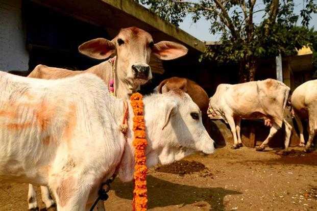 Jharkhand: Principal sent to jail for cooking beef in school
