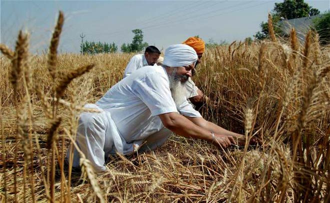 Captain Amarinder Singh likely to waive farmers' loan