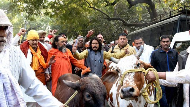 Action against those resorting to violence in the name of cow protection: PM Modi