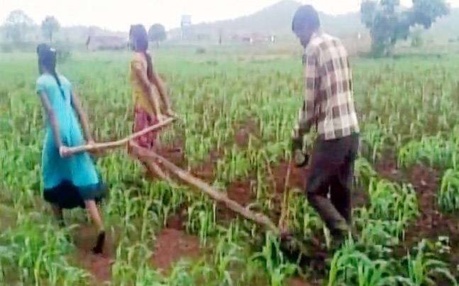 Madhya Pradesh farmers use daughters to pull plough