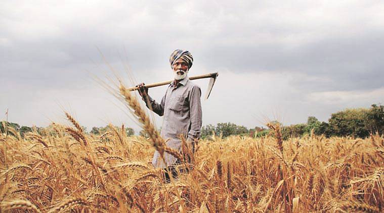 Budget 2019: Govt woos farmers, announces Rs 6000 a year under PM Kisaan Samman Nidhi