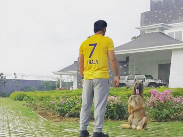 MS Dhoni welcomes back Chennai Super Kings to IPL in unique way