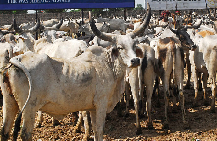85 lakh cattle have been tagged with UID number: Agriculture MinistryS