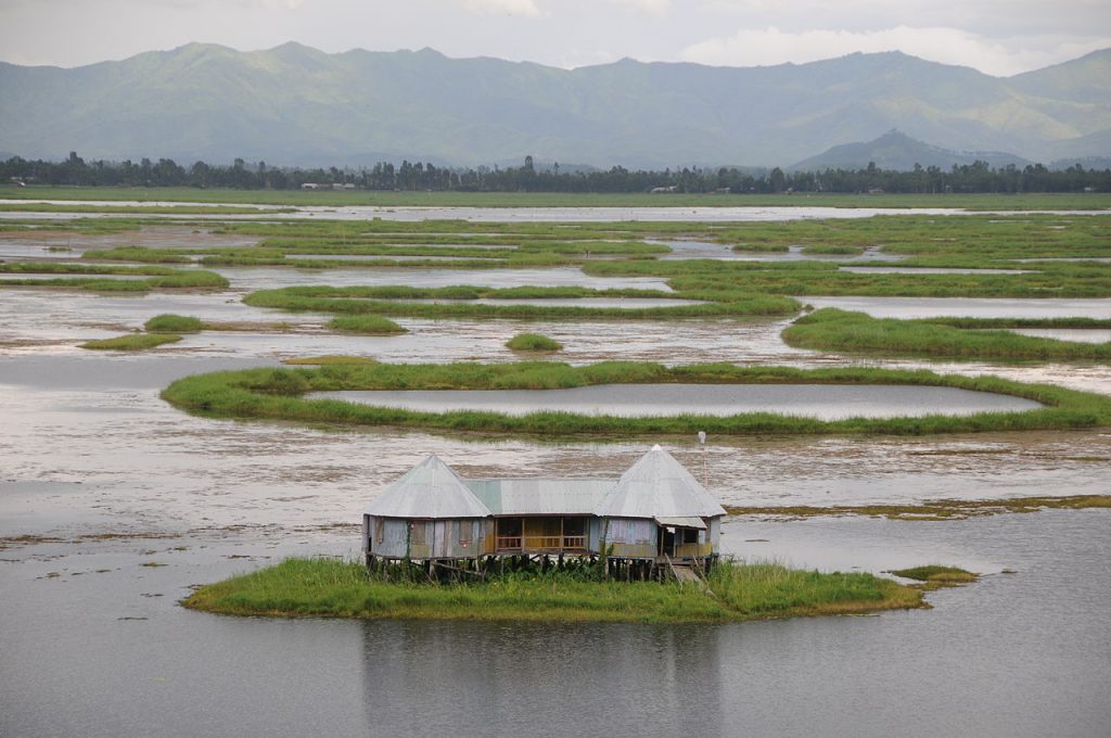 Saving world's only floating national park in Manipur and its dancing deer