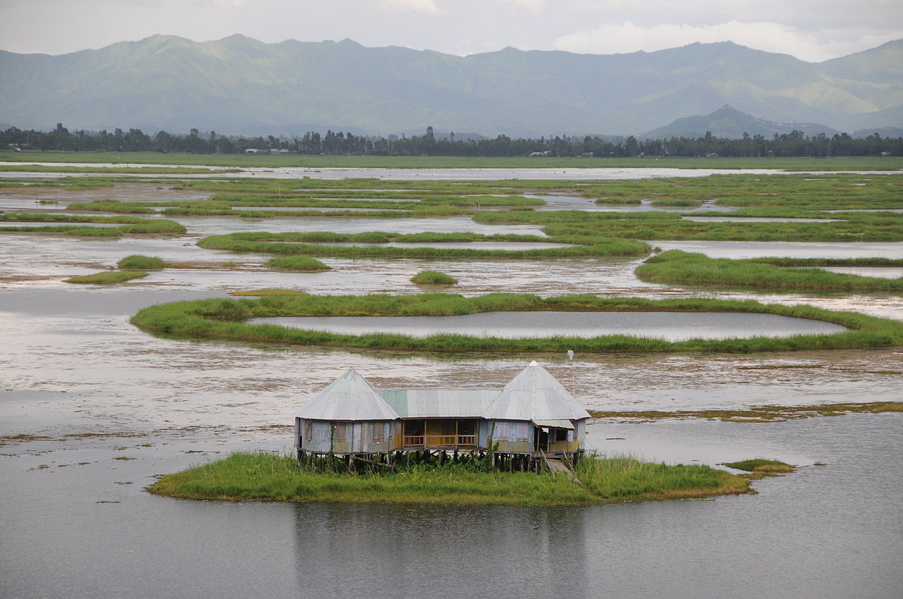 Saving world's only floating national park in Manipur and its dancing deer