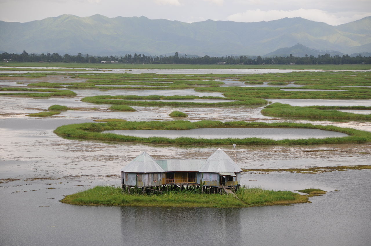 Saving World s Only Floating National Park In Manipur And Its Dancing Deer