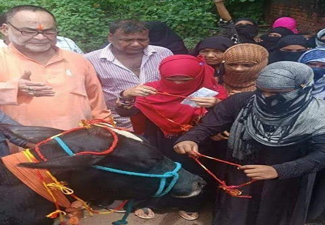 BJP leader Bukkal Nawab, Muslim women tie rakhi to cows asserting ‘Gau raksha’