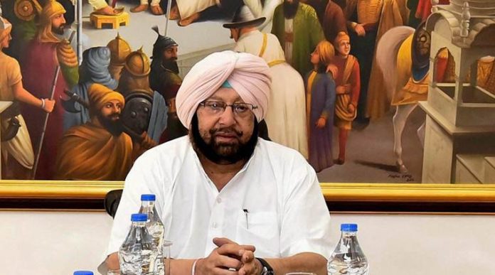 Amarinder Singh wants Centre to include potato production in 'Operation Greens'