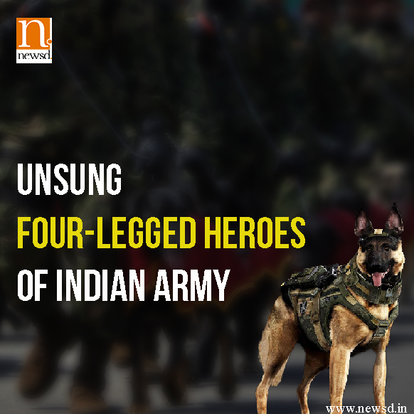 Unsung four-legged soldiers of Indian Army