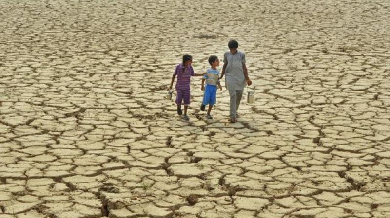 Karnataka Government declares 88.6% area drought hit