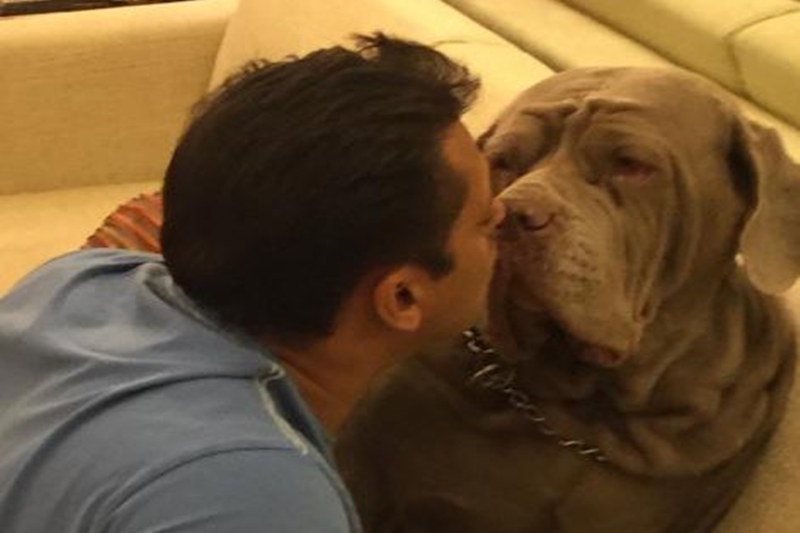 Salman Khan bereaved, pet dog MyLove passes away