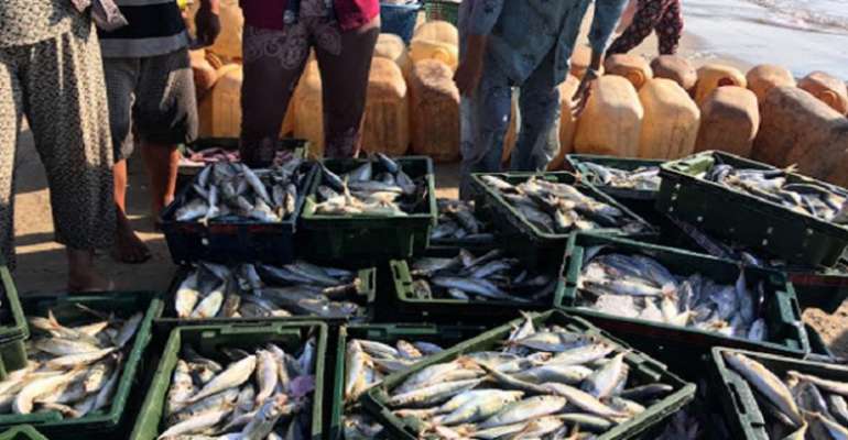 Fish import ban causing huge losses to Karnataka: Kumaraswamy to Parrikar