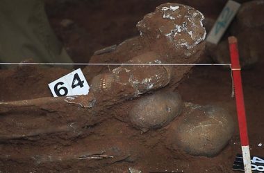 230 skeletons found in Sri Lanka's largest mass grave
