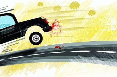Bengaluru: Car carrying four collides with Pejawar seer's vehicle, octogenarian couple passes away