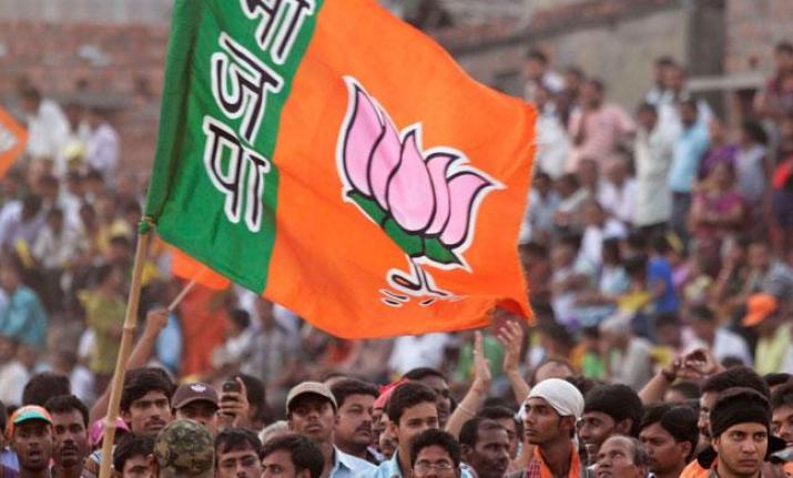Ram Mandir, NRC, Pucca houses by 2022: Key takeaways from BJP' “Sankalp Patra”