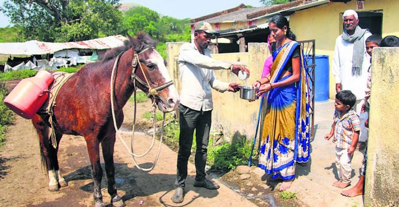 Nashik milkman dumps bike, switches to horse