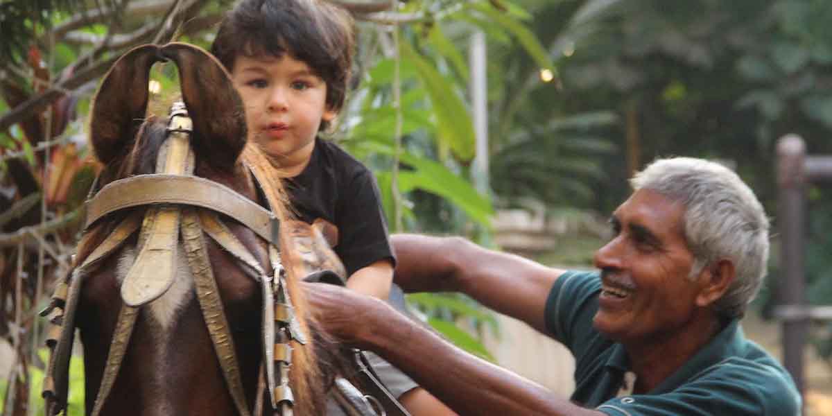 Check out these pictures of Taimur Ali Khan riding a horse