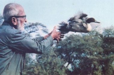 Salim Ali: An Ornithologist, Naturalist, The Birdman of India