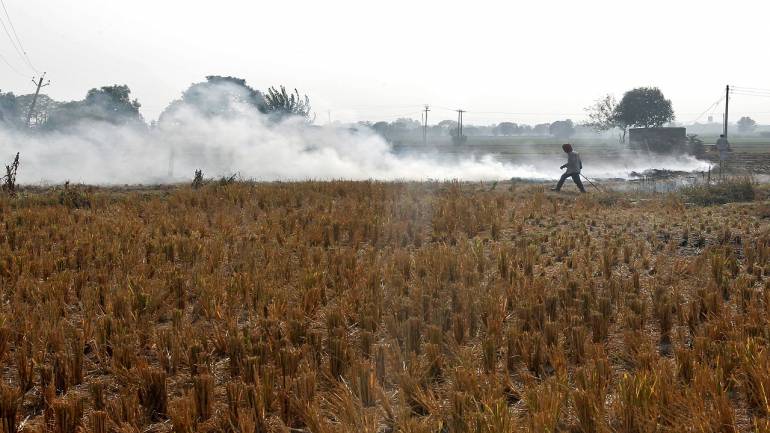 How stubble burning has become the biggest culprit for poor air quality in Delhi NCR