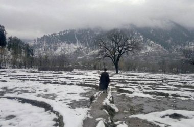 Cold wave grips Kashmir