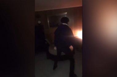 Maine, USA: Two males charged after video thrashing dog went viral