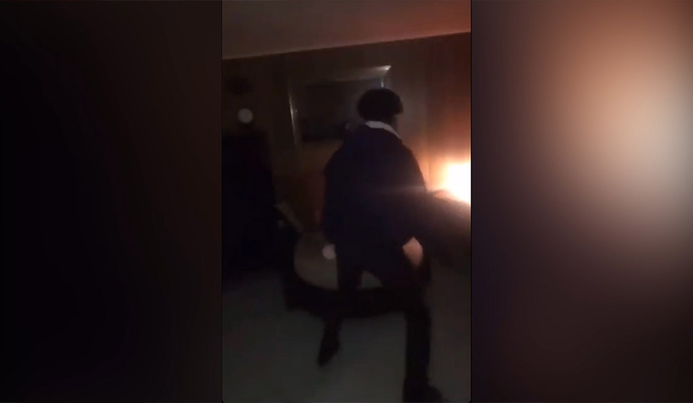 Maine, USA: Two males charged after video thrashing dog went viral
