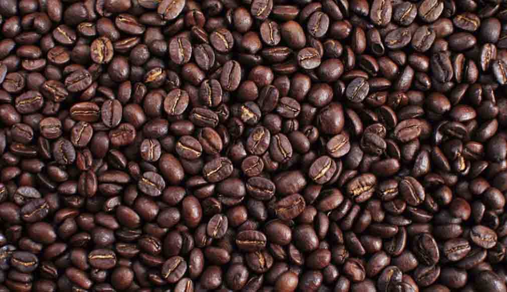 Bengal mulling coffee cultivation in Darjeeling