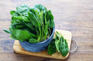 Spinach-protein may offer treatment for alcohol abuse, mood disorders