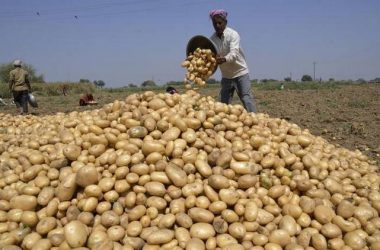 Upset with Rs 490 for 19 ton potatoes, Agra farmer sends money to PM Modi; seeks Euthanasia
