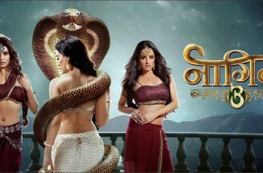 Super-natural drama Naagin 3 to go off air in February