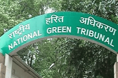 NGT raps Environment Ministry for failure to amend guidelines to check tree felling