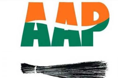 Will expose anti-Delhi character of BJP in Lok Sabha elections: AAP