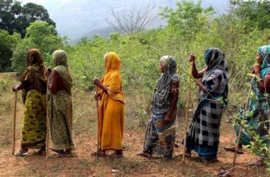 Supreme Court order eviction of more than 1 million Adivasi, forest-dwelling families