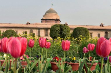 Mughal Gardens 2019: Date, Timings, Location, Entry Fee, Major Attractions & More