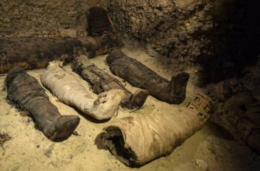Tomb with 50 mummies found in Egypt