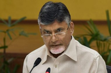 Chandrababu Naidu releases TDP manifesto, promises doles of Rs 2 Lakh to each family every year