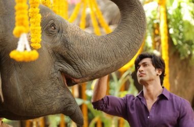 Junglee box office collection day 6: Vidyut Jammwal starrer fails to pull crowd