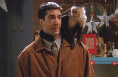 Matt LeBlanc reveals, this 'Friends' actor wasn't fan of Marcel the Monkey