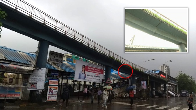 Mumbai: Cracks appears on Matunga bridge, BMC declares it safe