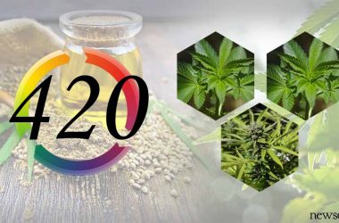 420 Day 2019: Health benefits of Cannabis and everything about this day