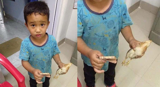 Mizoram: Kid accidentally runs cycle over chicken; wins hearts by rushing it to hospital with meager savings