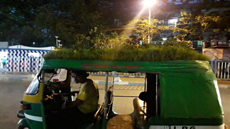 Kolkata auto driver’s unique rooftop garden to beat the heat is winning the internet