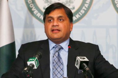 'Pakistan won't accept repeal of Indian Article 370': Mohammad Faisal