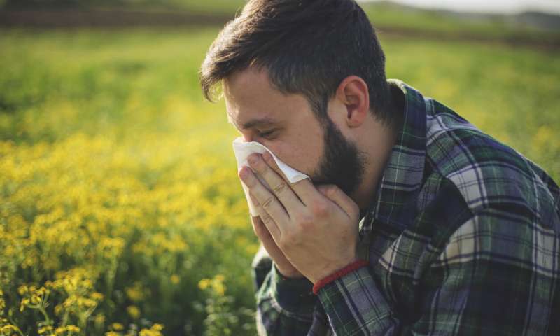 Grass pollen can help predict asthma, hay fever: Research