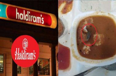 Nagpur: Haldiram's outlet shuts down after dead lizard found in ‘Vada Sambar’