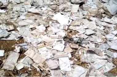 Tamil Nadu: Over 1000 Aadhaar cards found dumped on river bank