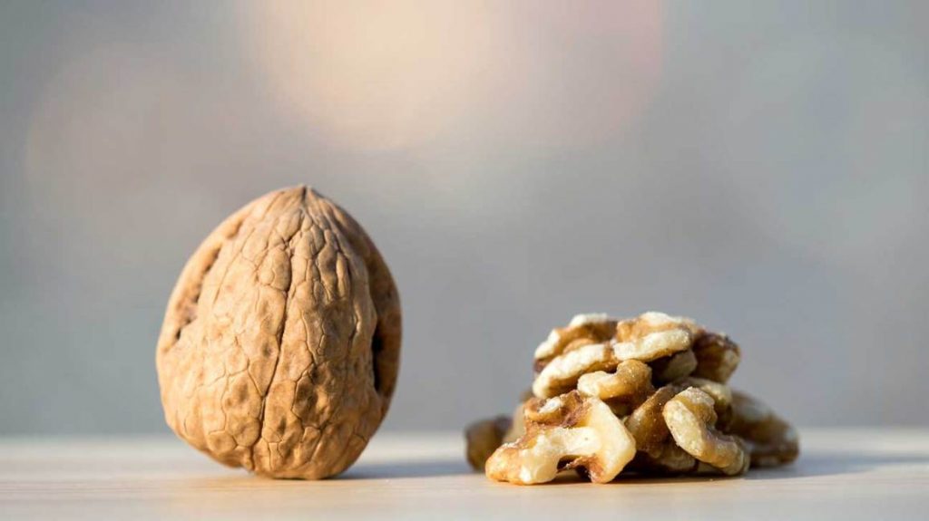 Benefits of Walnuts: Eating walnuts daily lowers heart disease risk